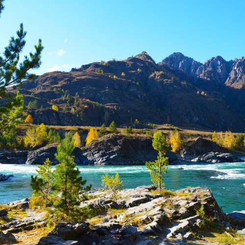 Автопутешествие по Горному Алтаю: Уймонская долина, Белуха и «каменные бабы» (мини-группа)