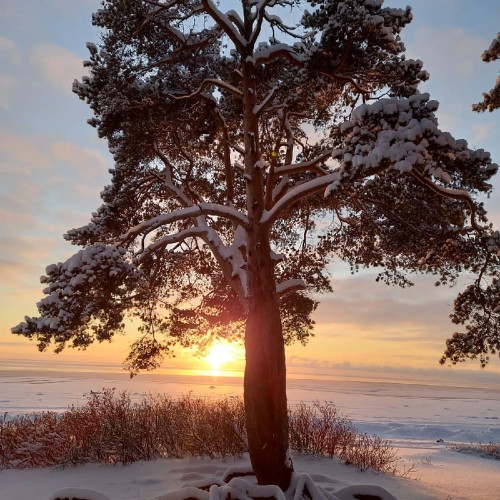 Финское наследие Зеленогорска/Терийоки
