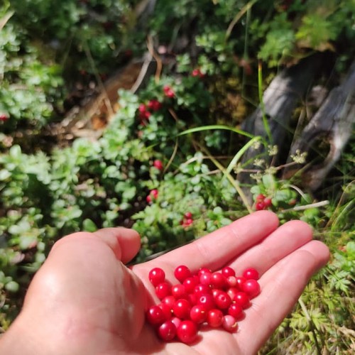 Больше треккинга и озёр в Архызе: без рюкзаков и с проживанием в гостинице