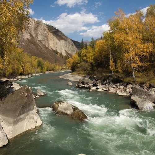 Из Алтая, по Чуйскому тракту — в Монголию на фестиваль беркутчи с проживанием в юрте