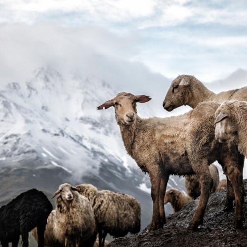 Неделя в стране гор: необычные места Дагестана и восхождение на Шалбуздаг