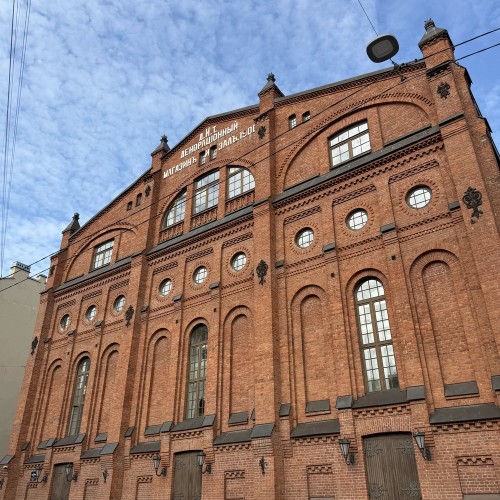 Балетные романы Романовых