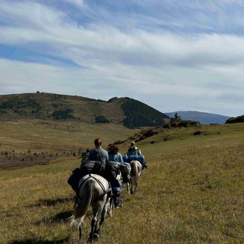 Наедине с природой Алтая: активное путешествие с конными прогулками и походом