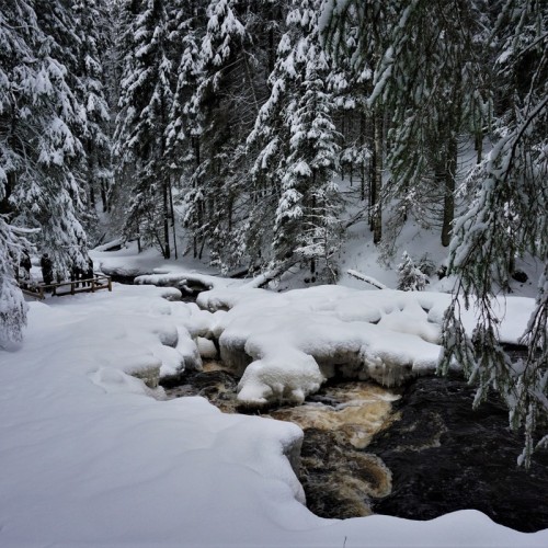 Долина водопадов и треккинг по карельскому лесу с хаски!