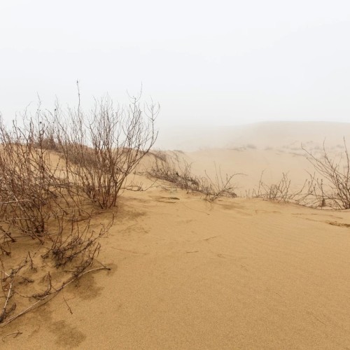 Перезагрузка по-дагестански: всё включено