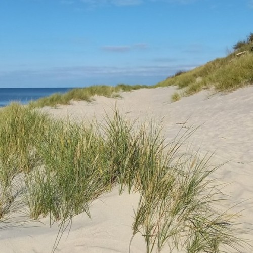 Увлекательные выходные: Калининград и курортные городки с местным гидом