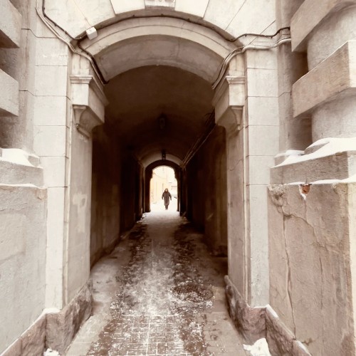 Дворцы и хижины Петроградки