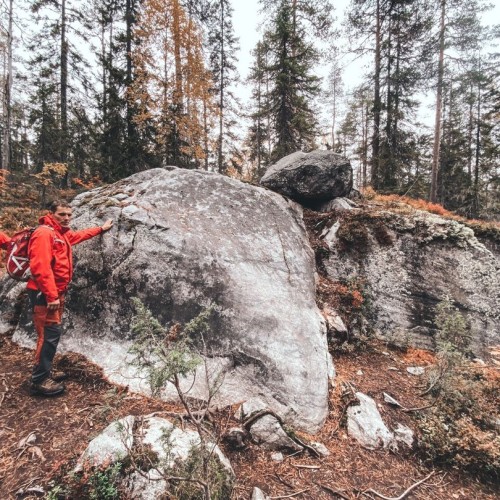Детокс в Карелии: место силы, дары леса и походная романтика (всё включено)