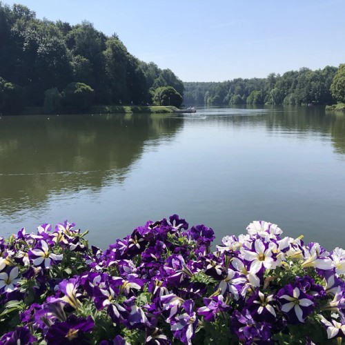 Царицыно не только для царей