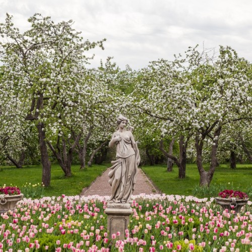 Выходные в Златоглавой: по знаковым местам
