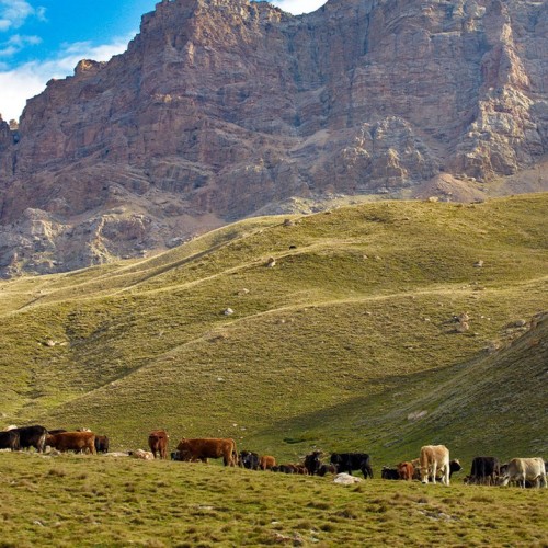 Выше облаков на 3760 метров на гору Шалбуздаг: треккинг налегке с проживанием в гостинице