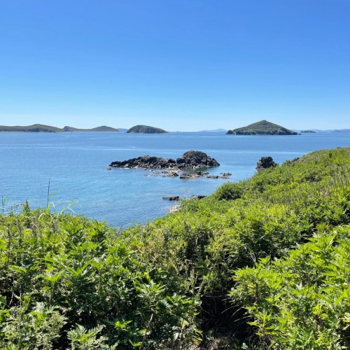 По волнам Японского моря на яхте с маской, сапом и деликатесами (мини-группа)