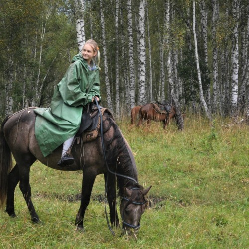 Конная прогулка вдоль горной реки Семы