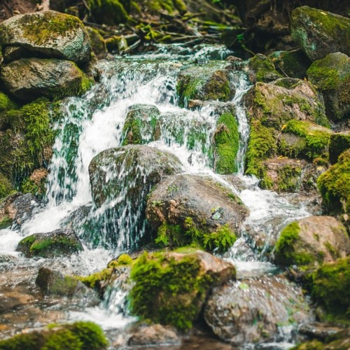 Очарование древности: Псков, его «затутырки» и окрестности