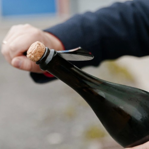 На сидрерию из Петербурга: авторская экскурсия + дегустация