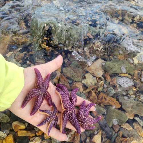 Индивидуально вдоль кромки океана: Владивосток и юг Приморья