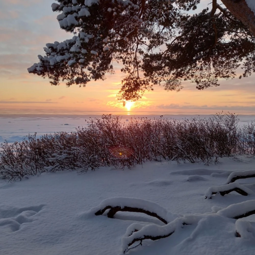 Из Петербурга в Комарово: обитель муз и гениев (в уютной мини группе)