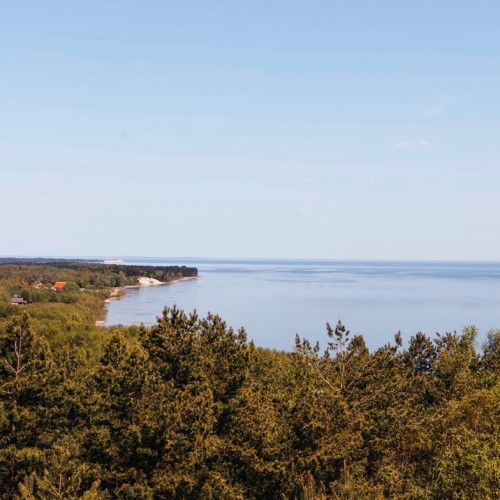 Море, котики, курорты: главное в Калининградской области