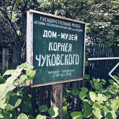 Литературный квест «Добрый дядюшка Корней собирает всех друзей»