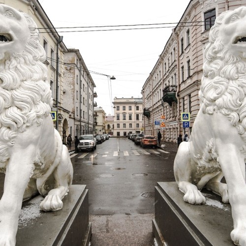Фантастические твари и где они обитают в Санкт-Петербурге