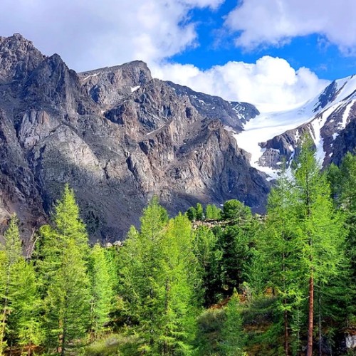 К ледникам: треккинг налегке в ущелье Актру с проживанием на турбазе