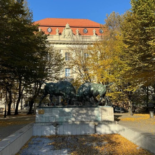 Калининград — первое свидание