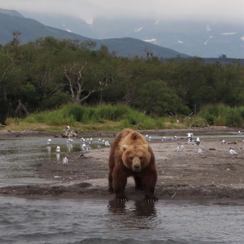 Романтический тур по Камчатке