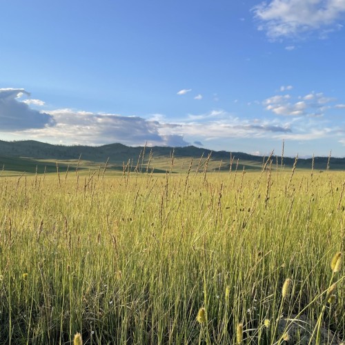 Архитектура и природа Сибири: достопримечательности Байкала, Иркутск и Листвянка