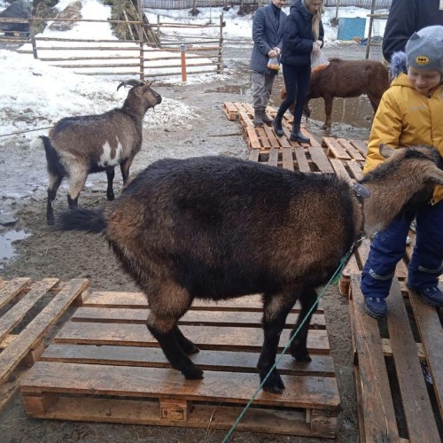 Зов Севера: Мурманск, Териберка, саамская деревня и прогулка по Баренцеву морю