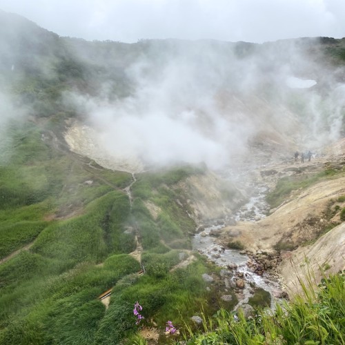 Камчатка в мини-группе: перевалы, бухты, сопки и купание в природных источниках