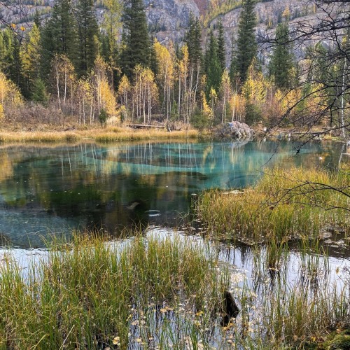 Золотой маршрут Алтая в золотую осень: индивидуальный тур