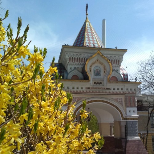 Топ-5 лучших мест Владивостока