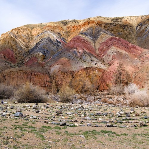 Майские на Алтае в сезон цветения маральника с ежедневными прогулками (всё включено)