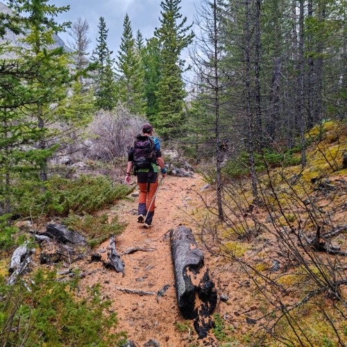Активный Алтай: треккинг, конные прогулки и Чуйский тракт