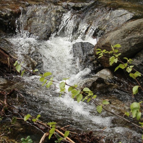 Путешествие-перезагрузка у Белого моря только для вас: природа Кандалакши и древний лабиринт