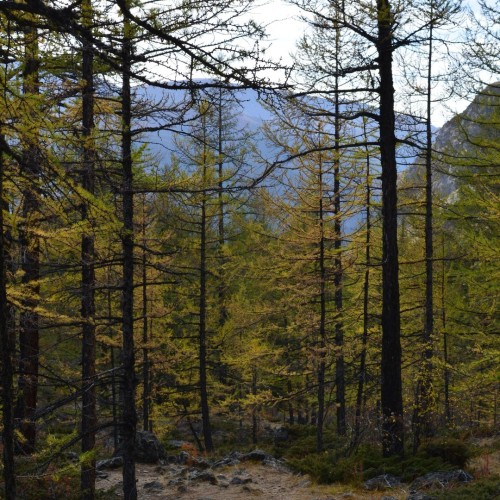 Знакомство с Алтаем своей компанией: снежные вершины, кристальные озёра и заповедные тропы