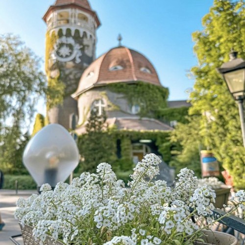 Девичник в Калининграде: уютные городки на Балтике, Куршская коса и европейская атмосфера