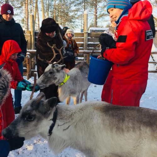 Встречаем Новый год в Карелии: экскурсии, праздничная программа и отдых в загородном отеле