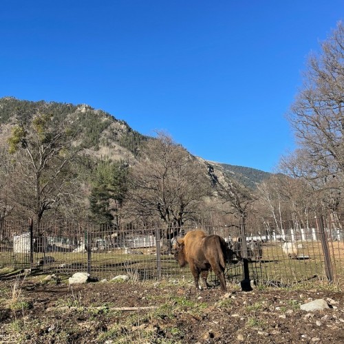 Своей компанией по Домбаю: Тебердинский заповедник, горы, пещеры, озёра
