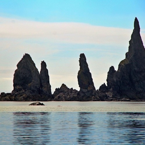 Навстречу гренландским китам: экспедиция к Шантарским островам с лекциями биологов