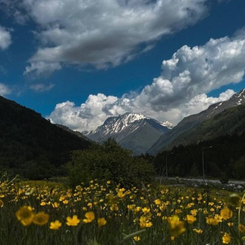 Созвездие гор: курорты КМВ, Домбай, Архыз и Эльбрус