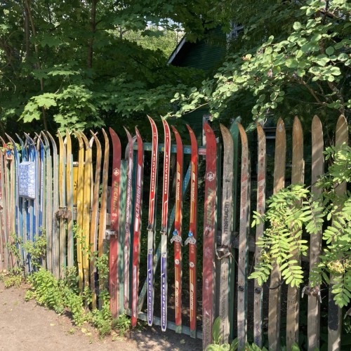 Лесная сторона Комарово: от дач до «будки» Ахматовой