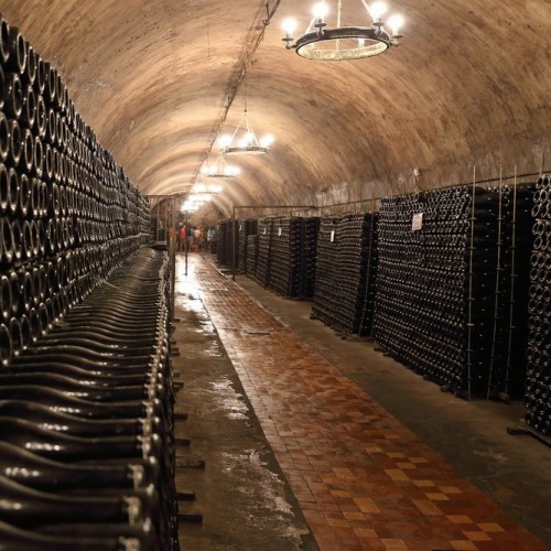 Выходные гедониста: дегустационный тур по винодельням Новороссийска