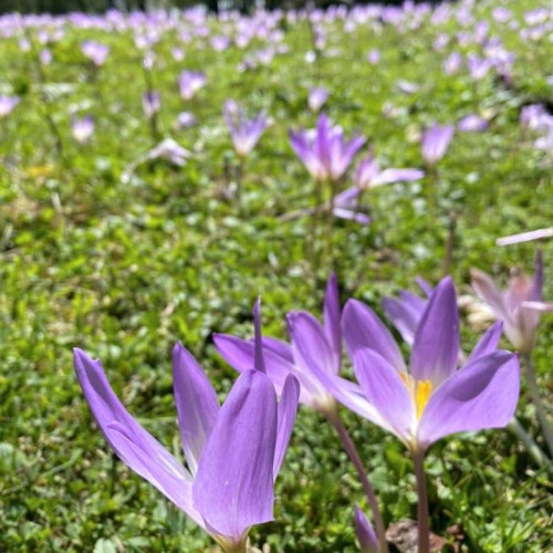 Край разноцветных озёр: треккинг налегке в Архызе с проживанием в палатках