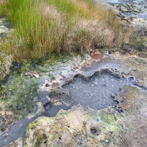 Камчатка в мини-группе: перевалы, бухты, сопки и купание в природных источниках