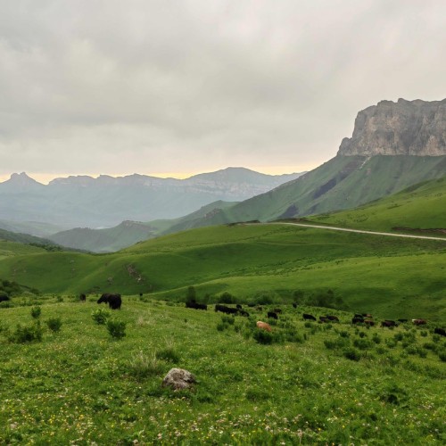 Комфортный треккинг в Приэльбрусье в мини-группе
