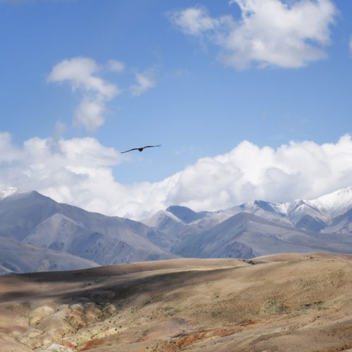 Алтайские чудеса: водопады, горы, озёра и марсианские пейзажи в мини-группе