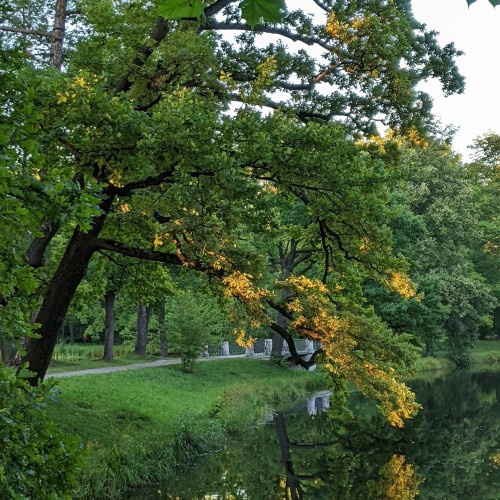 Велосипедная экскурсия по Александровскому парку в Царском Селе