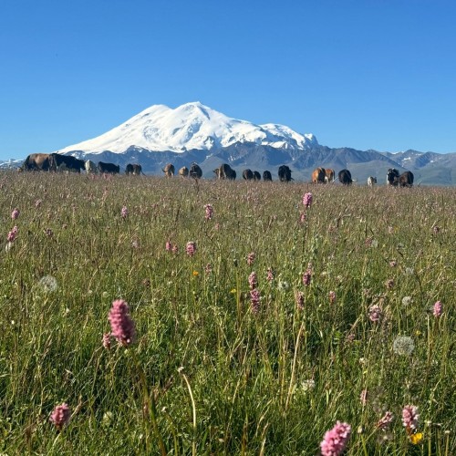 Всё лучшее на Кавказе — для вас: топ-локации, кухня, отдых на источниках, конная прогулка, рыбалка