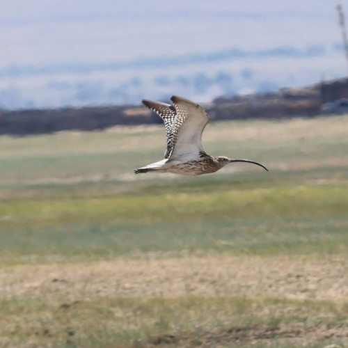 Индивидуальный джип-выезд по Баргузинской долине с посещением священных мест